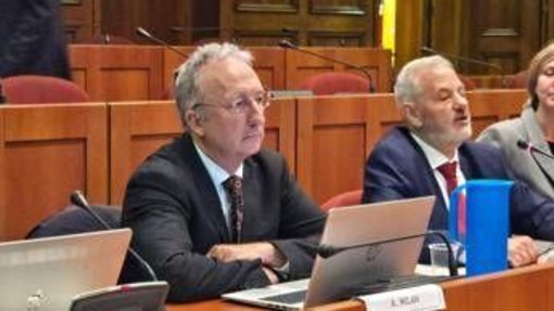 Ai, Milan (Agcom): &quot;Ora possiamo affrontare nuovi temi ingegneristici&quot;