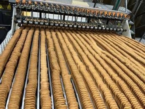 Cth Invest group, fatturato esercizio 2024-25 +9,9%