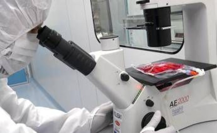 Tumori, in 5 anni di Car-T curati 1.800 italiani: &quot;Il viaggio continua destinazione futuro&quot;