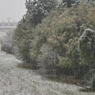Neve e gelo polare, inverno è in anticipo