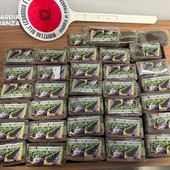 La droga viaggiava sui social e nei pacchi postali, blitz a Palermo con 11 arresti La droga viaggiava sui social e nei pacchi postali, blitz a Palermo con 11 arresti