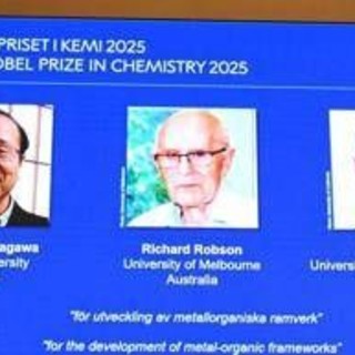 Nobel per la chimica a Kitagawa, Robson e Yaghi: hanno raccolto l'acqua dall'aria del deserto Nobel per la chimica a Kitagawa, Robson e Yaghi: hanno raccolto l'acqua dall'aria del deserto