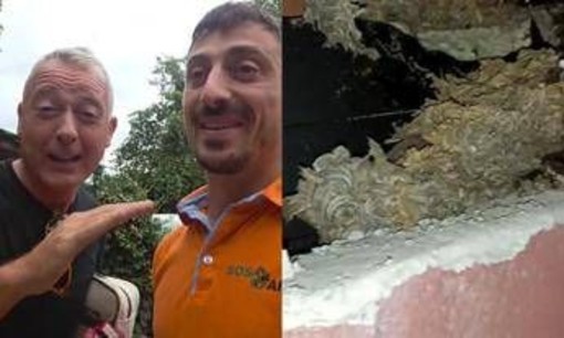 Pierluigi Diaco e Alessio Orsingher punti dalle vespe in casa, interviene il disinfestatore: "Nido enorme"