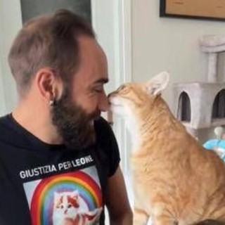 Come accarezzare i gatti, ecco la 'ricetta' infallibile per farsi amare Come accarezzare i gatti, ecco la 'ricetta' infallibile per farsi amare