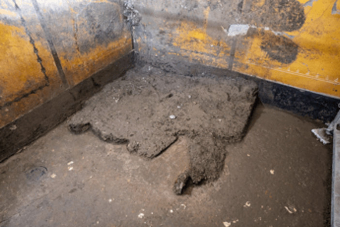 Pompei, scoperto l'armadio dei ricordi: all'interno trucco, monete e un'antica collana Pompei, scoperto l'armadio dei ricordi: all'interno trucco, monete e un'antica collana