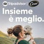 Vacanze, quasi la metà italiani rinuncia a viaggiare con il proprio cane