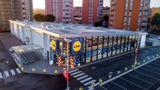 Welfare, Lidl Italia estende il congedo di paternità a 25 giorni Welfare, Lidl Italia estende il congedo di paternità a 25 giorni