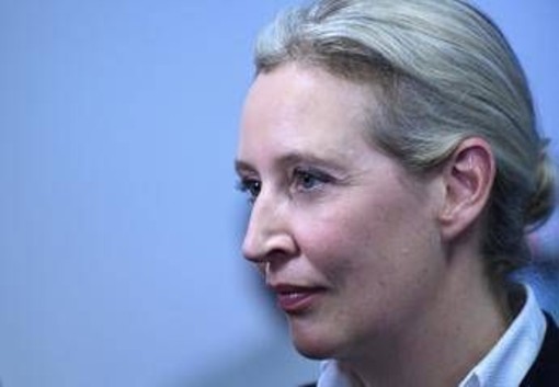 Germania, sondaggio incorona Afd: primo partito con 25%