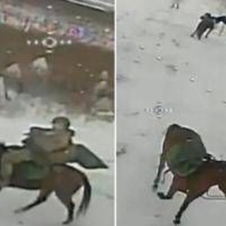 Soldati russi a cavallo, il drone ucraino colpisce Soldati russi a cavallo, il drone ucraino colpisce