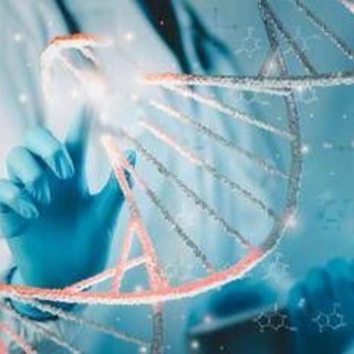 Malattie rare, da oggi rimborsabile la prima terapia di editing genetico Malattie rare, da oggi rimborsabile la prima terapia di editing genetico