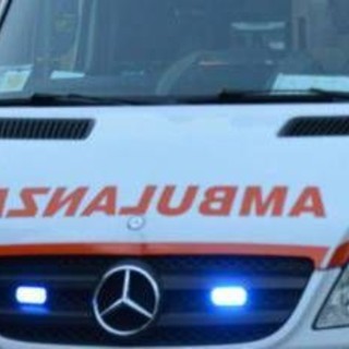 Parma, cade durante lavori di potatura: morto un 64enne