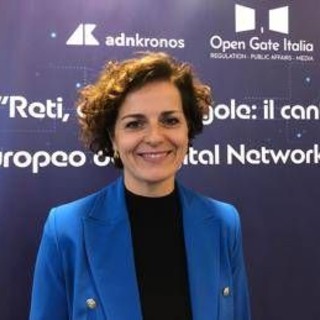 Digitale, Compagnucci (Open Gate Italia): "Italia acceleri completamento copertura fibra" Digitale, Compagnucci (Open Gate Italia): "Italia acceleri completamento copertura fibra"