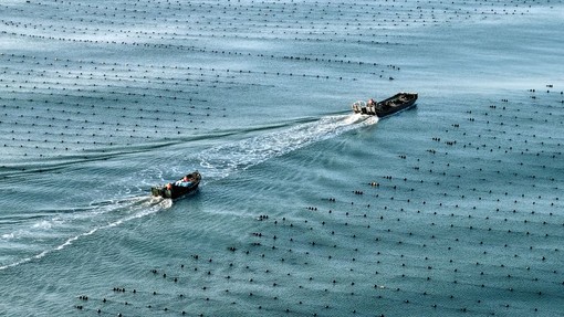 Cina, l’economia marittima segna una crescita costante nel primo semestre