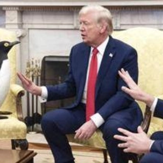 Dazi, perchè Trump tassa foche e pinguini? La versione Usa