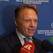 Made in Italy, Lollobrigida: "Significativo far conoscere eccellenze ristorazione" Made in Italy, Lollobrigida: "Significativo far conoscere eccellenze ristorazione"