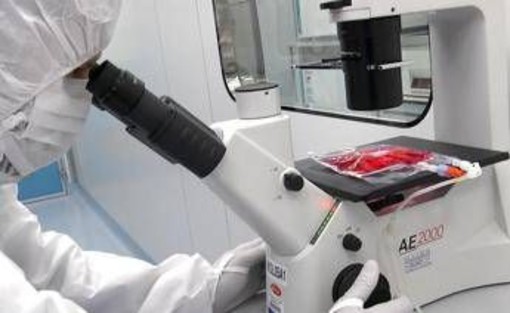 Tumori, in 5 anni di Car-T curati 1.800 italiani: &quot;Il viaggio continua destinazione futuro&quot;