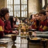 Harry Potter, la protesta dei fan: spostato il cavo sottomarino per la 'tomba' di Dobby