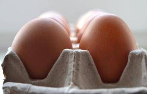 Salmonella sul guscio, richiamato anche lotto di uova Despar e Fattorie Natura Coop Salmonella sul guscio, richiamato anche lotto di uova Despar e Fattorie Natura Coop