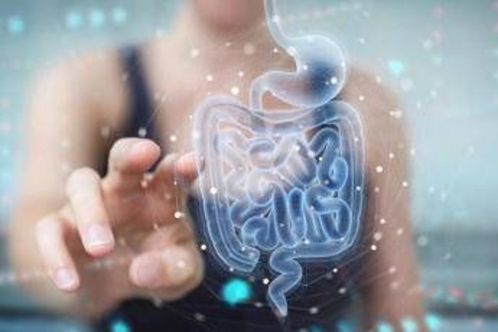 Malattie metaboliche, la svolta arriva dall'intestino: identificato batterio 'protettivo' Malattie metaboliche, la svolta arriva dall'intestino: identificato batterio 'protettivo'