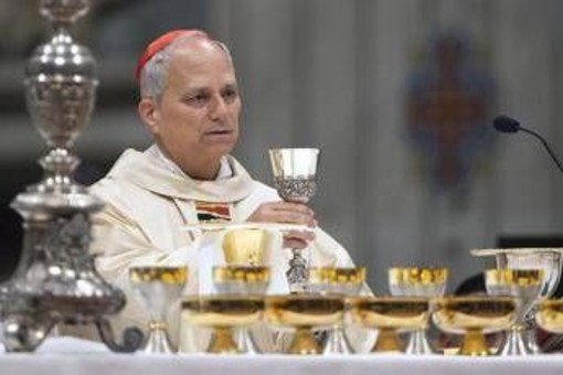 Conclave, tra i 'papabili' favoriti sale Robert Francis Prevost: chi è il cardinale statunitense