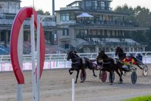 Ippica, Stoppini (Snai): "L''Orsi Mangelli' torna a Milano, a San Siro il grande trotto" Ippica, Stoppini (Snai): "L''Orsi Mangelli' torna a Milano, a San Siro il grande trotto"