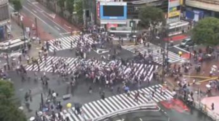 Mondiali, il Giappone pareggia con l'Olanda e a Tokyo si fa festa... al semaforo Mondiali, il Giappone pareggia con l'Olanda e a Tokyo si fa festa... al semaforo