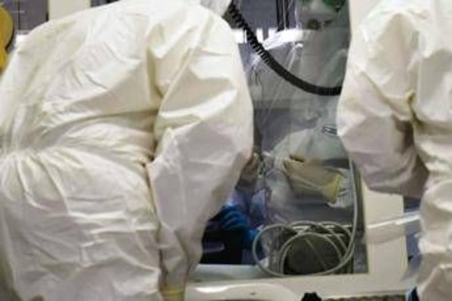 Ebola, la conferma di un focolaio in Congo: "246 casi sospetti e 65 morti"