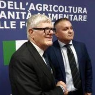 Vinitaly, al padiglione Masaf confronto su gestione rischio in filiera vitivinicola Vinitaly, al padiglione Masaf confronto su gestione rischio in filiera vitivinicola
