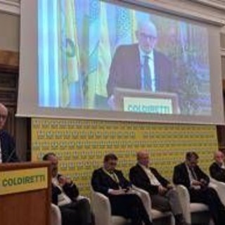 Tabacco, Rapporto Maciste: per mercato illecito rapida trasformazione digitale Tabacco, Rapporto Maciste: per mercato illecito rapida trasformazione digitale