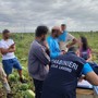 Scoperte irregolarità sul lavoro, 25 imprenditori denunciati nel Salento