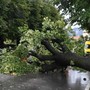 Maltempo in Toscana, 500 persone isolate a Portoferraio