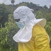 Ebola, Pregliasco: "Chi parla di rischio zero racconta una favola"
