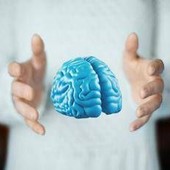 Imparare ad essere altruisti, così il cervello costruisce i comportamenti sociali