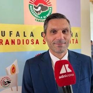 Made in Italy, Matricano (Univ. Vanvitelli): "Fare squadra tra Consorzio mozzarella campana Dop imprese e istituzioni" Made in Italy, Matricano (Univ. Vanvitelli): "Fare squadra tra Consorzio mozzarella campana Dop imprese e istituzioni"