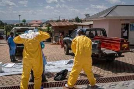 Ebola, identikit del virus Bundibugyo: storia di un nome che fa discutere Ebola, identikit del virus Bundibugyo: storia di un nome che fa discutere