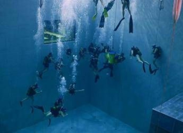 La scienza italiana svela i segreti del cuore sott'acqua La scienza italiana svela i segreti del cuore sott'acqua