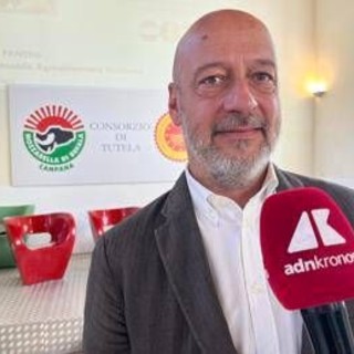 Made in Italy, Saccani (Mozzarella di Bufala Campana Dop): "Innovare per restare tradizione" Made in Italy, Saccani (Mozzarella di Bufala Campana Dop): "Innovare per restare tradizione"