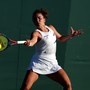 A Wimbledon Paolini crolla al secondo turno, avanza Bellucci