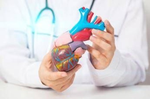 Cardiomiopatia ipertrofica ostruttiva: "Terapia innovativa efficace e sicura a 5 anni" Cardiomiopatia ipertrofica ostruttiva: "Terapia innovativa efficace e sicura a 5 anni"