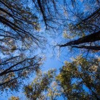 L'estate di San Martino non delude, stop alla pioggia arrivano beltempo e temperature miti L'estate di San Martino non delude, stop alla pioggia arrivano beltempo e temperature miti