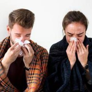 Raffreddore alla moviola, ecco che succede nel naso quando il rinovirus attacca Raffreddore alla moviola, ecco che succede nel naso quando il rinovirus attacca