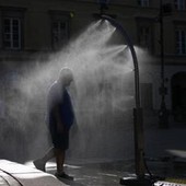 Europa nella morsa del caldo, in Francia circa mille morti in più rispetto alla norma. In Germania la notte più calda di sempre